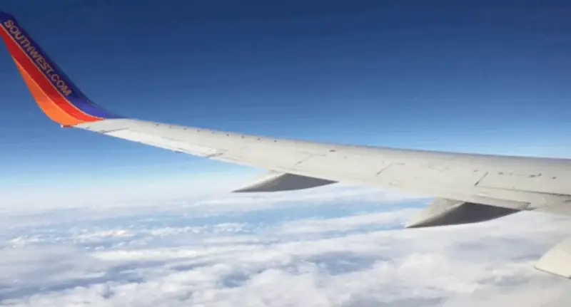 Aircraft wing vibrating in flight